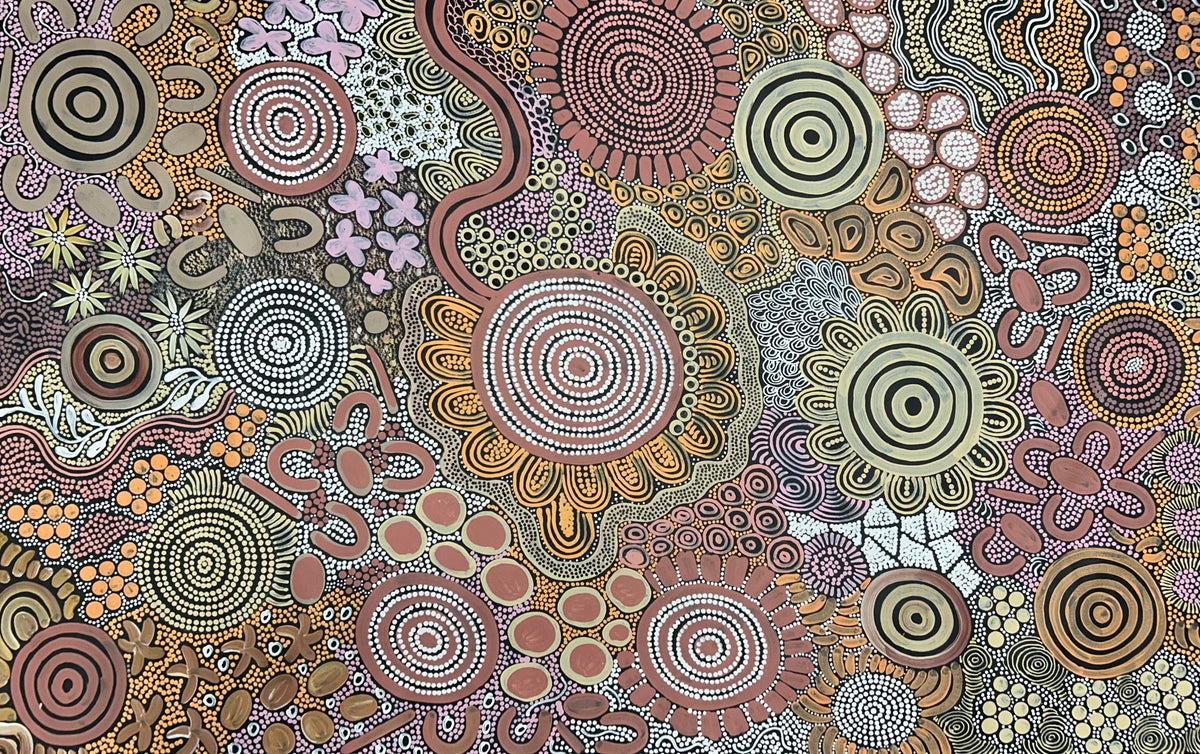Women's Dreaming & Ceremony Paintings | Australian Aboriginal Art