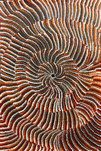 Load image into Gallery viewer, "Sand Dunes (Tali)" Maureen Nampijinpa Hudson 61cm x 91cm