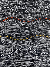 Load image into Gallery viewer, "Seed Dreaming" Marshall Jangala Robertson 61cm x 121cm