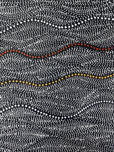Load image into Gallery viewer, "Seed Dreaming" Marshall Jangala Robertson 61cm x 121cm