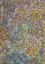 Load image into Gallery viewer, "Bush Plums" Bessie Pitjara 96cm x 160cm