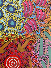 Load image into Gallery viewer, "Grandmothers Country" Michelle Possum Nungurrayi 70cm x 103cm