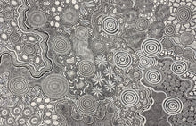 Load image into Gallery viewer, "Budgerigar Story & Bush Tucker" Julieanne Nungurrayi Turner 171cm x 110cm