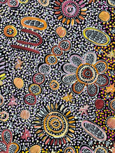 Load image into Gallery viewer, "My Country" Rochelle Bird Mbitjana 198cm x 96cm