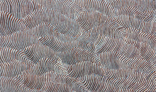 Load image into Gallery viewer, "Sand Dunes (Tali)" Maureen Nampijinpa Hudson 152cm x 89cm