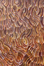 Load image into Gallery viewer, "Sand Dunes (Tali)" Maureen Nampijinpa Hudson 88cm x 61cm