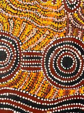 Load image into Gallery viewer, "Piltati" Tjimpuna Williams 164cm x 89cm