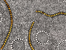 Load image into Gallery viewer, "Bush Tomato" Nancy Martin Napangarti 141cm x 73cm