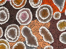 Load image into Gallery viewer, "Bush Banana Dreaming" Nola Napangardi Fisher 95cm x 44cm