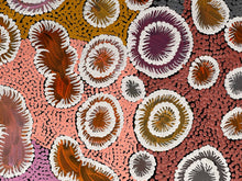 Load image into Gallery viewer, "Bush Banana Dreaming" Nola Napangardi Fisher 95cm x 44cm