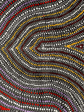 Load image into Gallery viewer, "Water Dreaming" Marshall Jangala Robertson 118cm x 82cm