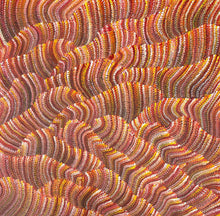 Load image into Gallery viewer, "Sand Dunes (Tali)" Maureen Nampijinpa Hudson 75cm x 76cm