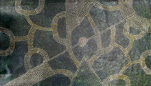 Load image into Gallery viewer, "Bush Plum" Aboriginal art by Roseanne Morton Petyarre - close-up detail, 199cm x 117cm
