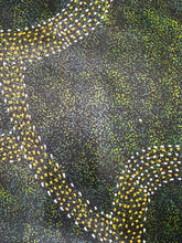 Load image into Gallery viewer, "Bush Plum" by Roseanne Morton Petyarre - alternate view, original Aboriginal painting, 199cm x 117cm