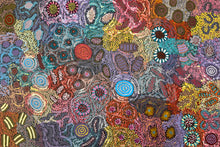 Load image into Gallery viewer, Close-up of Grandmother’s Country Aboriginal artwork showing sacred sites and dot work