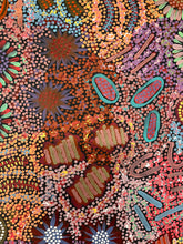 Load image into Gallery viewer, Grandmother's Country painting by Michelle Possum Nungurrayi, Australian Aboriginal artist from Mt Allan, close-up detail highlighting colors and aerial landscape patterns.