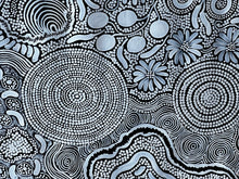 Load image into Gallery viewer, "Budgerigar Story & Bush Tucker" Julieanne Nungurrayi Turner 171cm x 110cm
