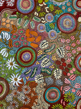 Load image into Gallery viewer, "Budgerigar Dreaming & Bush Tucker Story" Julieanne Nungurrayi Turner 200cm x 131cm