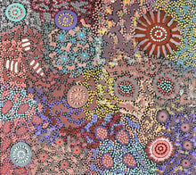 Load image into Gallery viewer, Fine dot work and circular motifs, Michelle Possum Nungurrayi