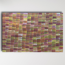 Load image into Gallery viewer, Jeannie Mills Yam Dreaming Original painting