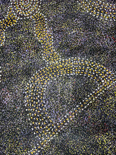 Load image into Gallery viewer, "Bush Plum" Aboriginal art by Roseanne Morton Petyarre - close-up detail, 199cm x 101cm