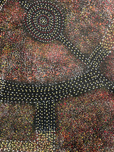 Load image into Gallery viewer, Close up image of Roseanne Morton bush plum