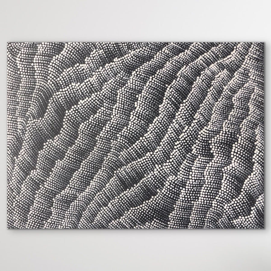 "Sandhills" Corrina Nampijinpa Ryan 61cm x 46cm - full painting
