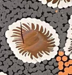 Load image into Gallery viewer, "Bush Banana Dreaming" Nola Napangardi Fisher 95cm x 44cm