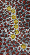 Load image into Gallery viewer, Close up section of Seven Sisters Dreaming Aboriginal painting by Michelle Possum Nungurrayi