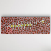 Load image into Gallery viewer, Horizontal view of Seven Sisters Dreaming Aboriginal painting by Michelle Possum Nungurrayi