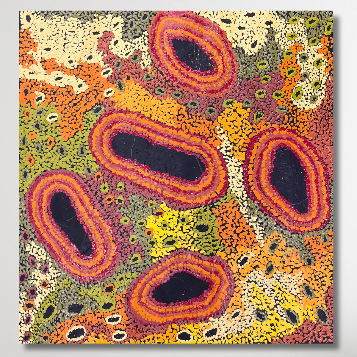 "My Country" Francie Ingkatji 60cm x 58cm