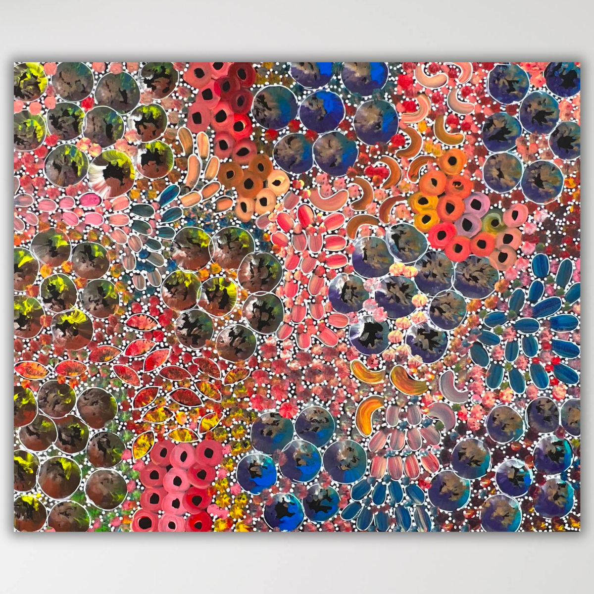 "Yam Dreaming" Rachael Nambula 88cm x 73cm