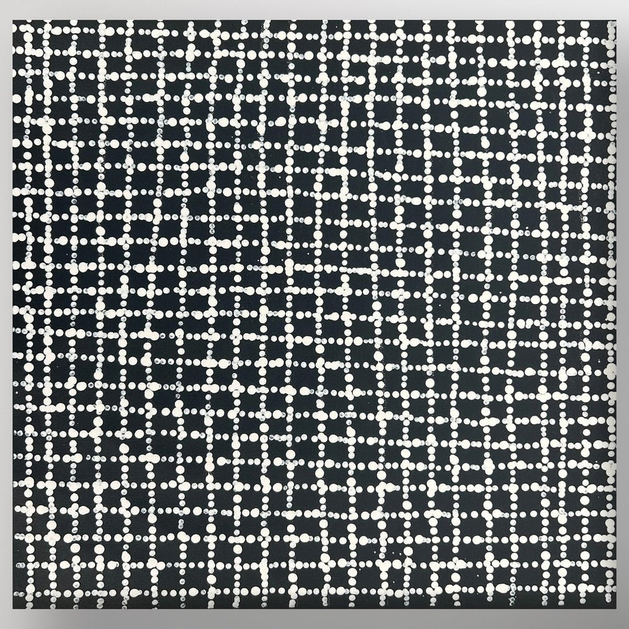 "Mina Mina Jukurrpa" Valda Napangardi Granites 41cm x 40cm painting displayed on a wall