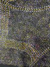 Load image into Gallery viewer, Roseanne Morton Petyarre with original painting "Bush Plum" - Aboriginal artist