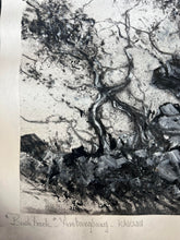 Load image into Gallery viewer, "Bush Track" Anbangbang - Kakudu" Original painting by Thomas Gleghorn