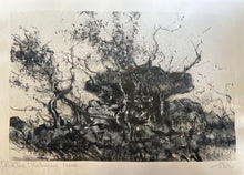 Load image into Gallery viewer, "Bush Track" Anbangbang - Kakudu" Original painting by Thomas Gleghorn