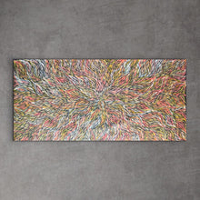 Load image into Gallery viewer, "Bush Medicine Leaves" by Jeannie Petyarre (Pitjara) 99cm x 200cm