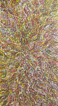 Load image into Gallery viewer, "Bush Medicine Leaves" Jeannie Pitjara 111cm x 201cm