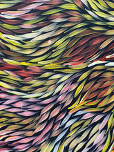 Load image into Gallery viewer, "Bush Medicine Leaves" Jeannie Pitjara 111cm x 201cm