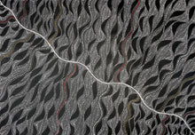 Load image into Gallery viewer, "Seed Dreaming" Marshall Jangala Robertson 171cm x 121cm