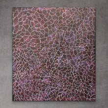 Load image into Gallery viewer, "Bush Plum" Roseanne Morton Petyarre 97cm x 110cm