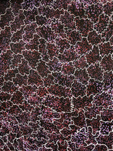 Load image into Gallery viewer, "Bush Plum" Roseanne Morton Petyarre 97cm x 110cm