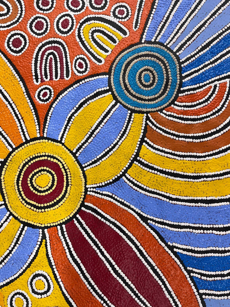 Chromatic Healing: The Power of Colour in Aboriginal Art for Improving Wellbeing