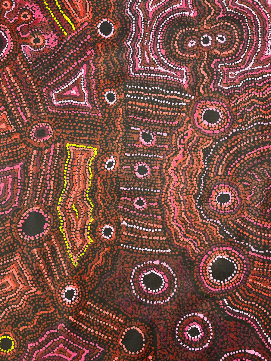 APY Lands - Anangu Country