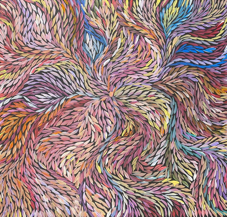 Bush Medicine Paintings