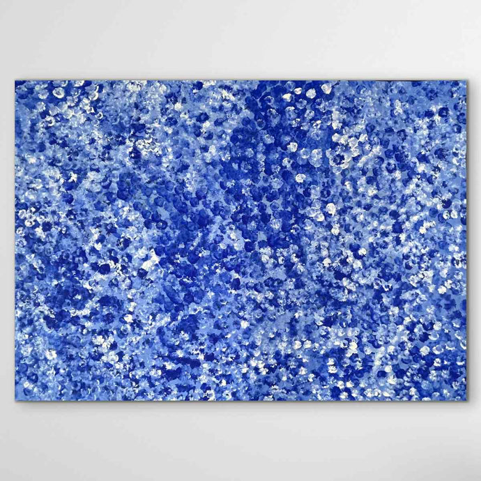 blue and white bush plum bessie pitjara