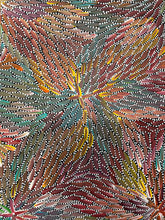 Load image into Gallery viewer, &quot;Bush Medicine Leaves&quot; Bernadine Johnson Kemarre 154cm x 108cm
