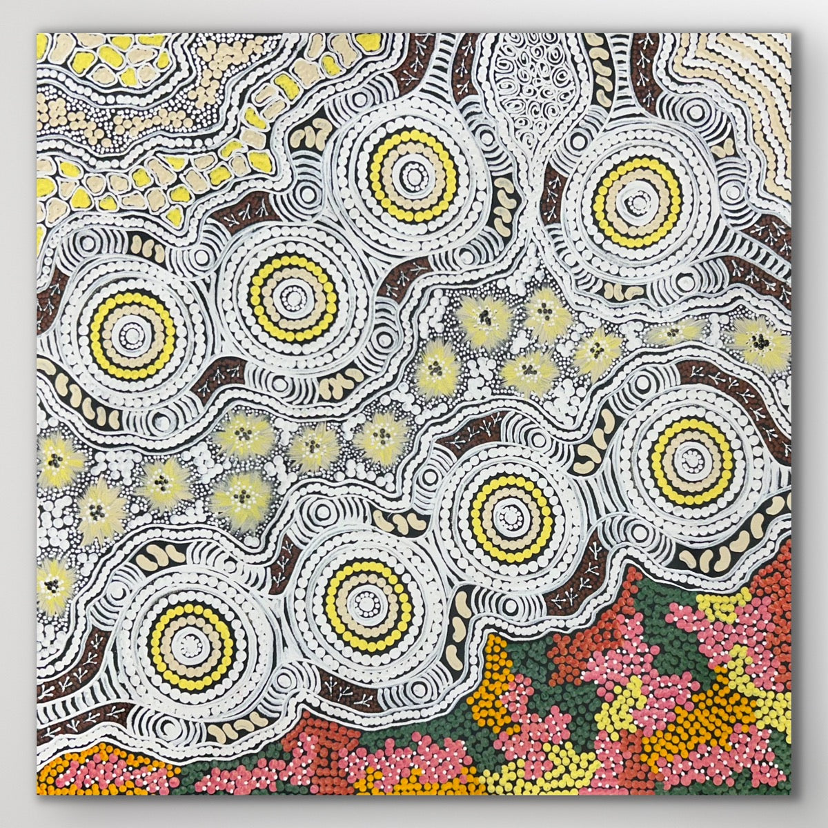 "Budgerigar Dreaming" Gwenda Nungurrayi Turner 61cm x 60cm