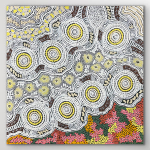 "Budgerigar Dreaming" Gwenda Nungurrayi Turner 61cm x 60cm