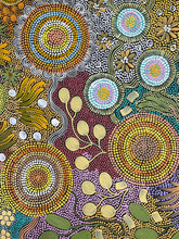 Load image into Gallery viewer, &quot;Budgerigar Dreaming &amp; Bush Tucker&quot; Julieanne Nungurrayi Turner 76cm x 120cm *
